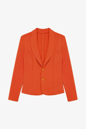 Blazer Delta